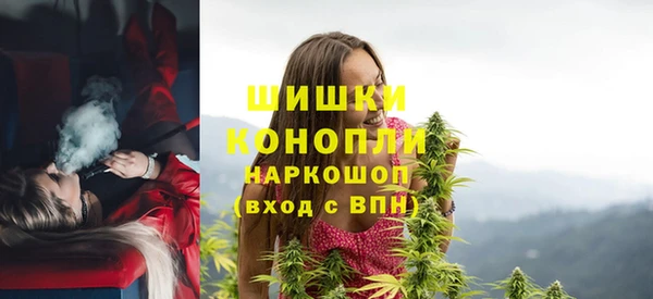 стаф Костерёво