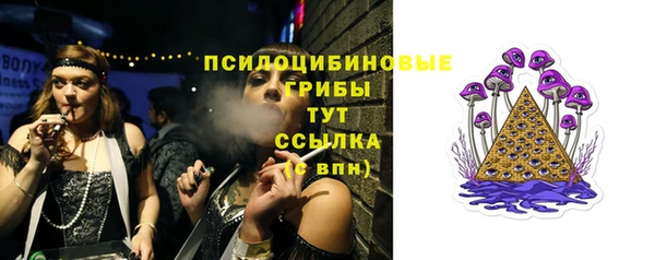 стаф Костерёво